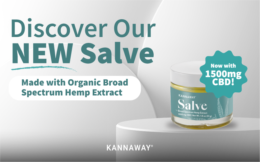 エッセンシャルオイル Kannaway Salve 500mg Salve 500mg 1.3oz | Hemperiffic